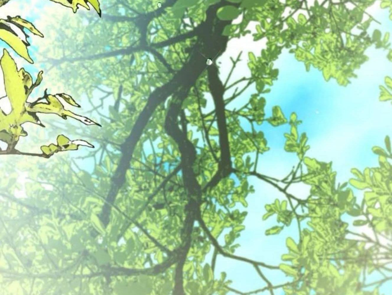 Yeonwoo’S Innocence Chapter 181 - Trang 2