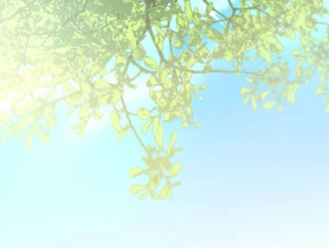 Yeonwoo’S Innocence Chapter 181 - Trang 2