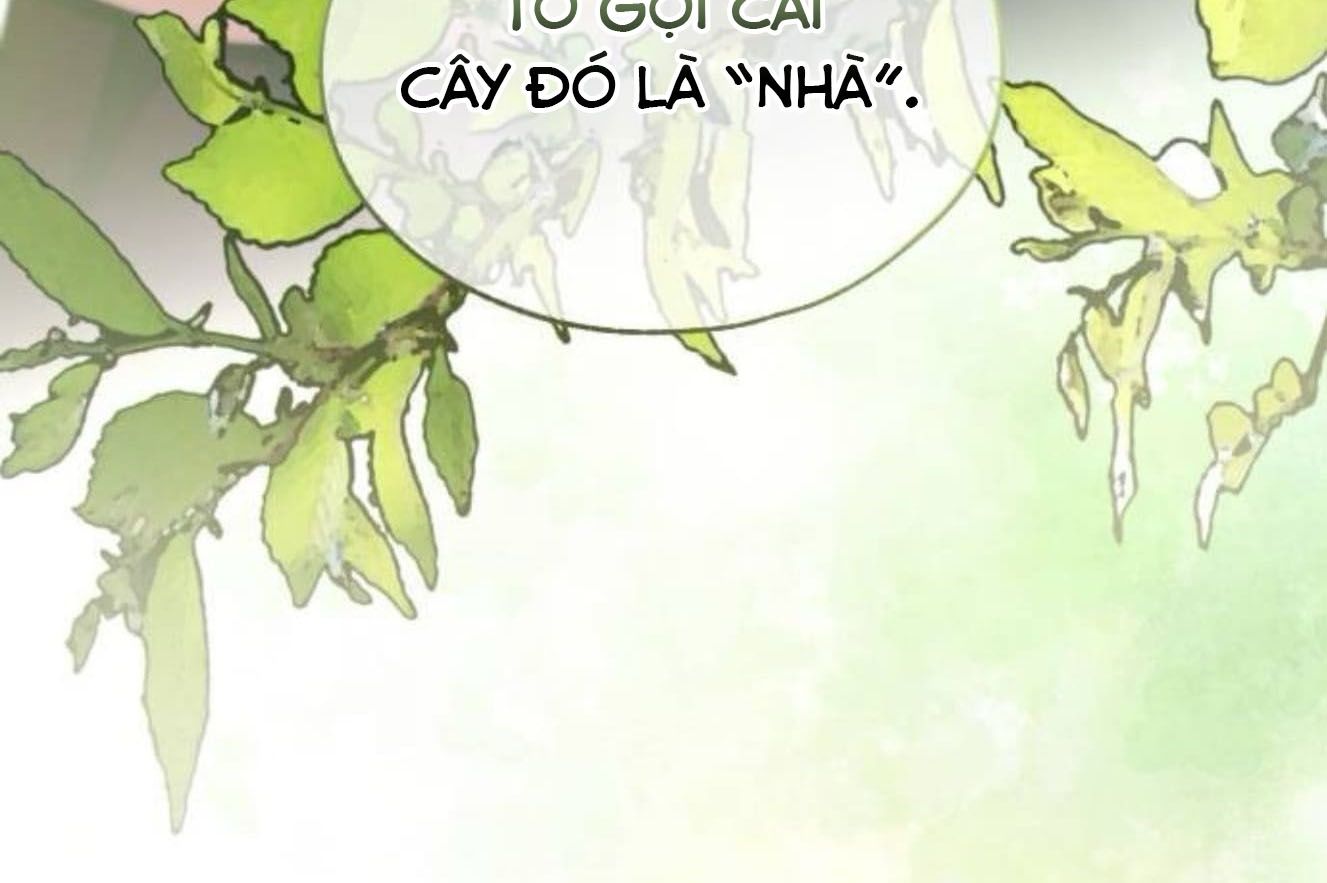 Yeonwoo’S Innocence Chapter 181 - Trang 2