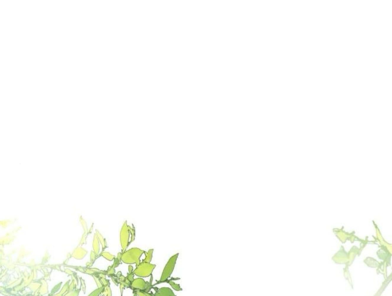 Yeonwoo’S Innocence Chapter 181 - Trang 2