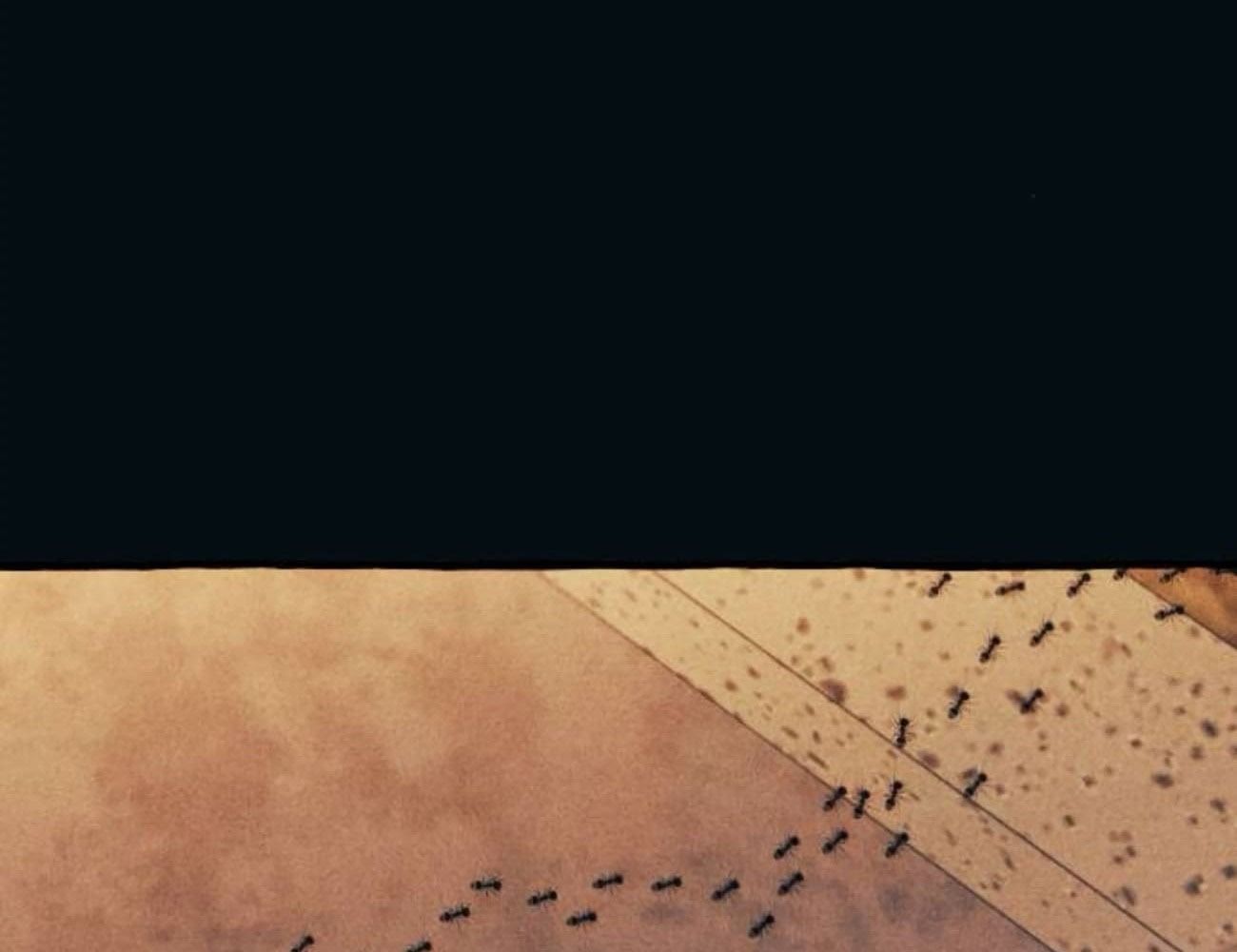 Yeonwoo’S Innocence Chapter 188 - Trang 2