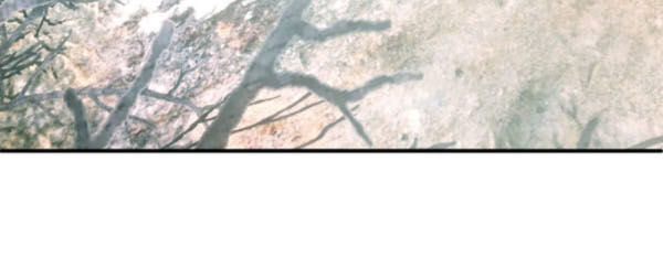 Yêu Giả Vi Vương Chapter 133 - Trang 2