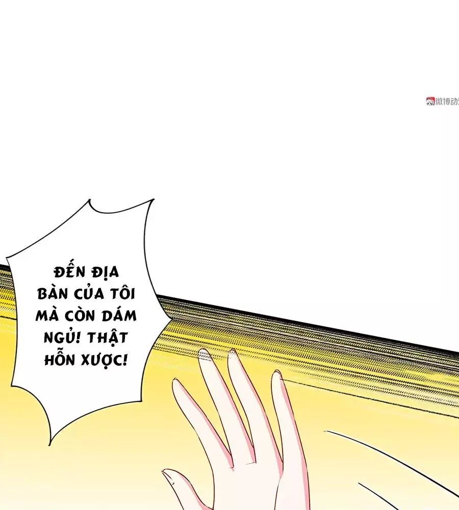 Yêu Tôi Đều Chết Cả Đi! Chapter 71 - Trang 2