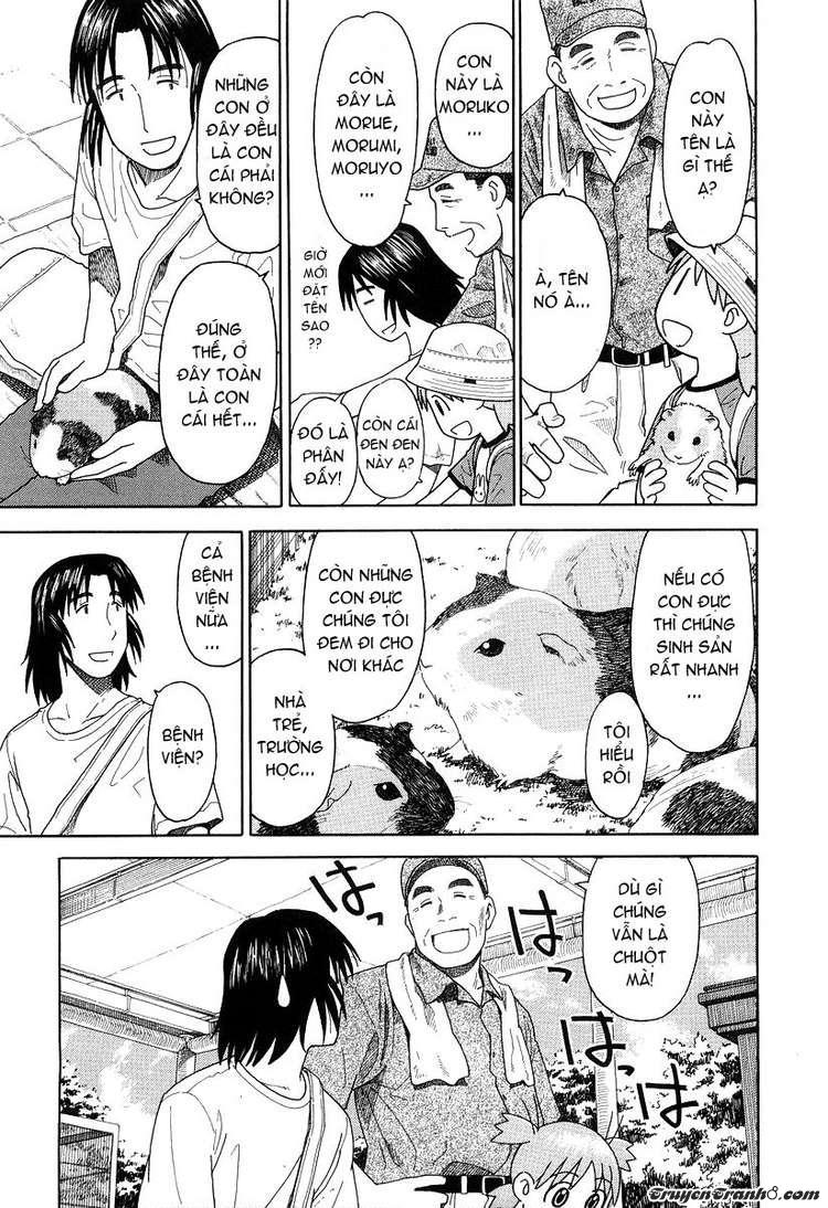Yotsubato! Chapter 19 - Trang 2