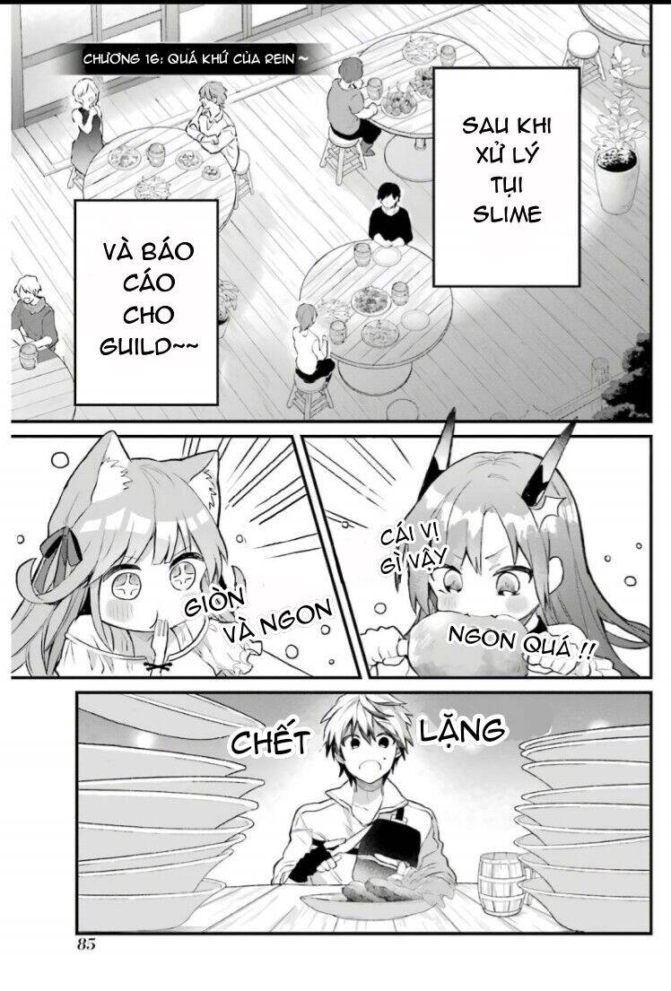 Yuusha Party Wo Tsuihou Sareta Beast Tamer, Saikyou Shuzoku Nekomimi Shojo To Deau Chapter 16 - Trang 2