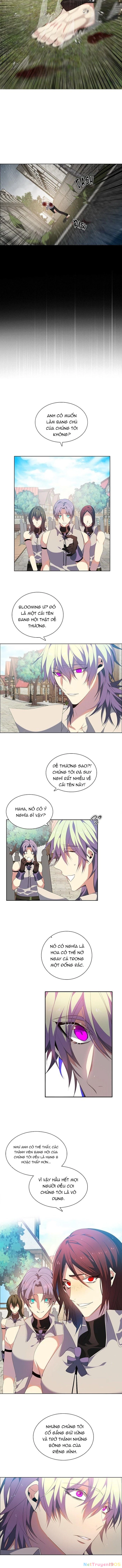 Zero Game Chapter 203 - Trang 2